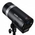 Godox AD300Pro Witstro	