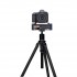 Zoom F8